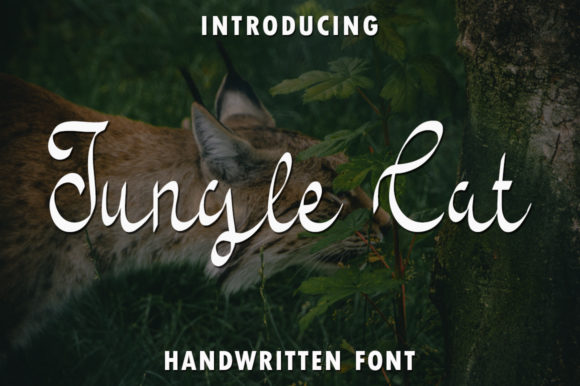 Jungle Cat Font: A Handwritten Typeface That Elevates Campaigns