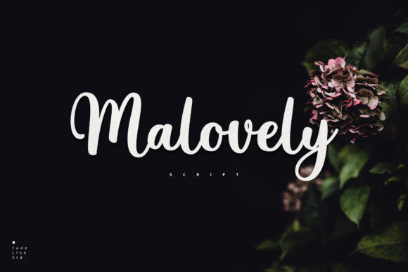 Malovely: A Handwritten Font That Elevates Editorial Design