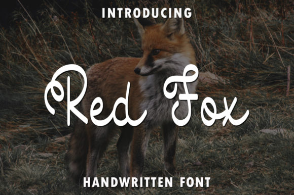 Red Fox Typeface: A Marketer’s Secret Weapon for Eye-Catching Campaigns