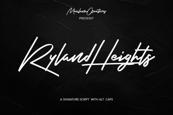 Ryland Heights Typeface: A Designer’s Journey in Branding