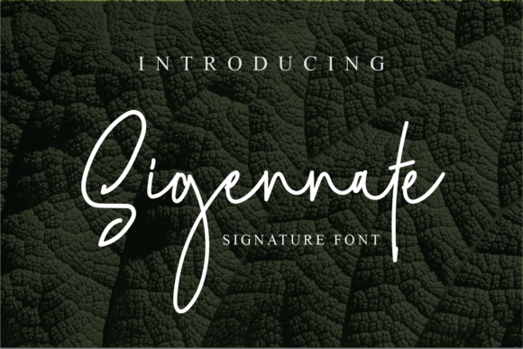 Sigennate: A Script Font with Personality