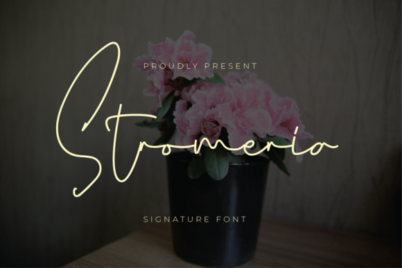 Stromeria Font: A Charming Script for Web Designers