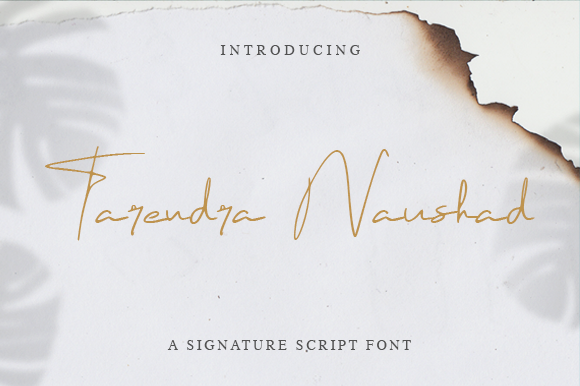 Tarendra Naushad: A Typeface for Timeless Typography
